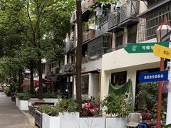 -泡桐树街