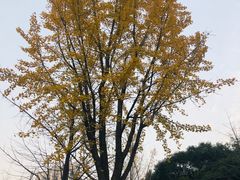 -苏州河梦清园环保主题公园