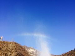 -荣德灶台鱼(圣泉寺店)