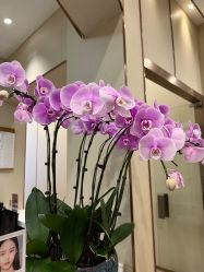 -东莞缔美美容医院