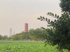 -云龙湖旅游景区