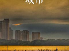 -龙舟池