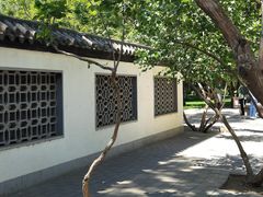 -团结湖公园