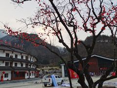 -秦岭天竺山生态文化旅游景区
