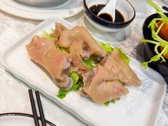 -丁老爷子苏香圆