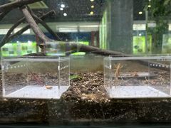 -上海昆虫博物馆