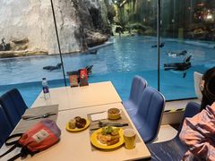 -帝企鹅自助餐厅•儿童岛•真企鹅(长隆企鹅酒店)