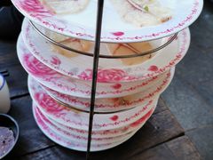 -凤凰山斑鱼馆(恭城店)