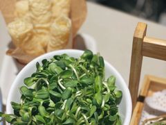 -浩爷羊蝎子火锅(望京店)