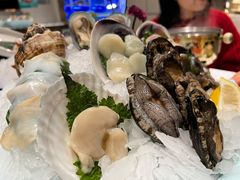 -海鲨湾海鲜会馆(百家湖1912店)