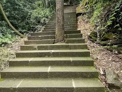 -凤栖山