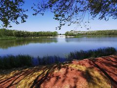 -大兴滨河森林公园