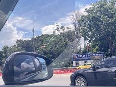 -杨梅坑