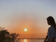 -宝安西湾红树林湿地公园