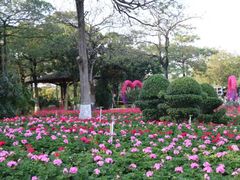 -松山湖梦幻百花洲