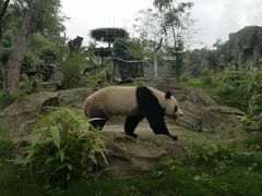 -武汉动物园