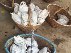 -马陆小张葡萄园农家乐