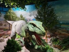 -国家自然博物馆