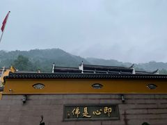 -九华山风景区