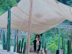 -MOJ coffee(瓯海泽雅水碓坑店)