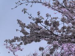 -虹口龙之梦购物中心·停车场