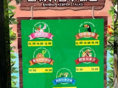 -广州长隆飞鸟乐园