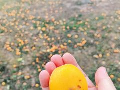 -成都中医药大学(温江校区)