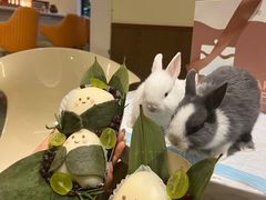 -大象厨房(重庆道店)