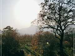 -塔川景区