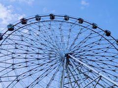 -秦皇岛乐岛海洋王国