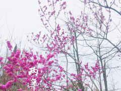 -成都南湖公园