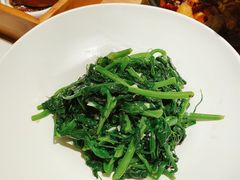-青梅酒肆PLUS(长白仙岛北路店)