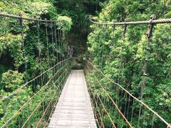 -太鲁阁公园
