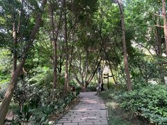 -成都市活水公园