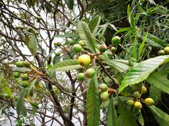 -白塘生态植物园