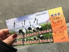 -盐城丹顶鹤湿地生态旅游区