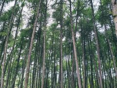 -硗碛藏寨·神木垒景区