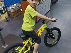 -GIANT捷安特自行车专卖店(金桥台儿庄路店)