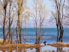 -洱海月湿地公园