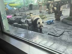 -秦皇岛野生动物园