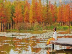 -白鹭湾湿地公园