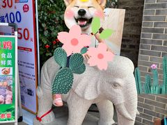 -峰少印宴·私房菜·生猛海鲜·地道水乡菜(万江店)