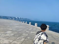 -星海湾跨海大桥
