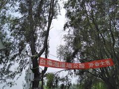 -白渔泡湿地公园