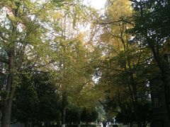 -四川大学(华西校区)