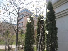 -渤海大学(松山校区)