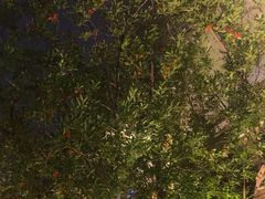 -羊门客在·烤盐池滩羊·川菜