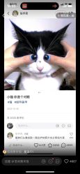 -晨·艺美甲美睫