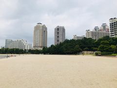 -台场海滨公园船码头