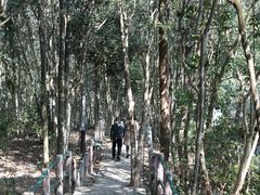 -百漈沟生态旅游景区